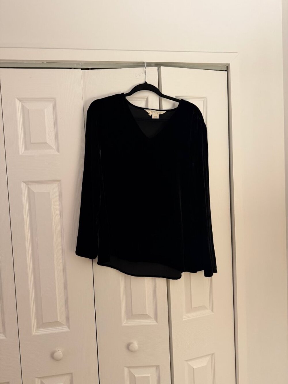 Express Black Velvet V-Neck Long Sleeve Top Size L Silk Blend